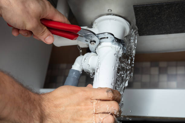 Best Professional water damage repair  in Timnath, CO