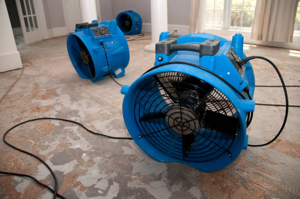 Best Local water damage restoration  in Timnath, CO
