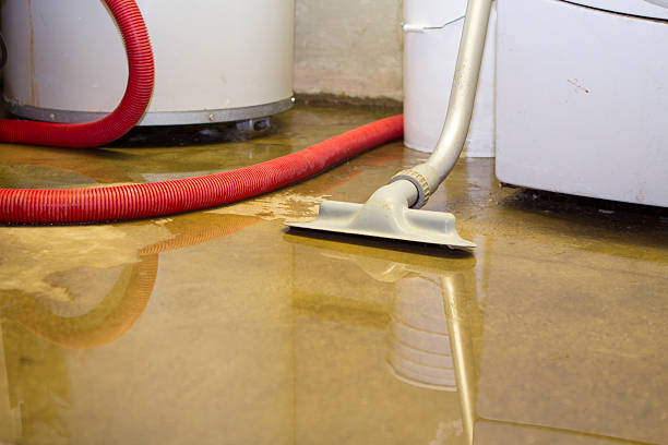 Best Water damage contractors near me  in Timnath, CO