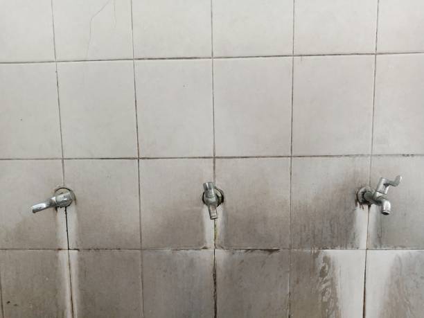 Best Water damage restoration near me  in Timnath, CO