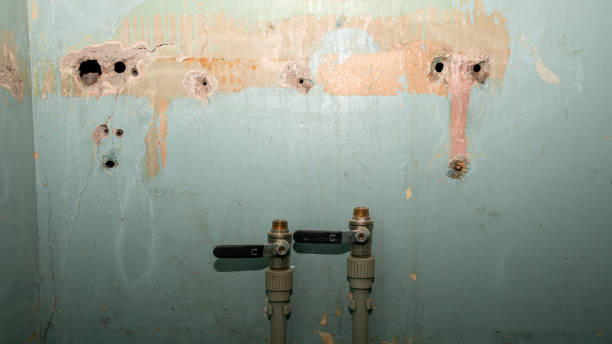 Timnath, CO Water damage restoration Company