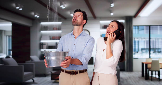 Best Flood damage cleanup  in Timnath, CO